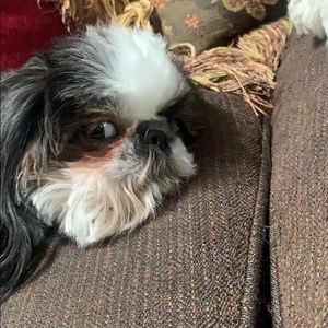 Meet your Posher, Andrew